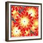 Seamless Flower Pattern in Orange Tones-Mirage3-Framed Art Print