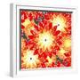 Seamless Flower Pattern in Orange Tones-Mirage3-Framed Art Print