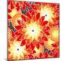 Seamless Flower Pattern in Orange Tones-Mirage3-Mounted Art Print