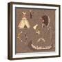 Seamless Indian Pattern-destra-Framed Art Print