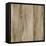 Seamless Old Wood Texture-Minerva Studio-Framed Stretched Canvas