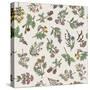 Seamless Pattern of Various Hand Drawn Herbs and Flowers-ONYXprj-Stretched Canvas