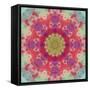 Seamless Pattern, Paintings on a Fabric-alexcoolok-Framed Stretched Canvas