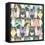 Seamless Pattern with Hipster Cute Cats for Children-cherry blossom girl-Framed Stretched Canvas