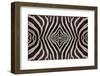 Seamless Pattern-panuruangjan-Framed Photographic Print