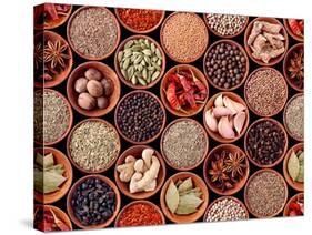 Seamless Texture of Spices on Black Background-Andrii Gorulko-Stretched Canvas