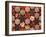 Seamless Texture of Spices on Black Background-Andrii Gorulko-Framed Photographic Print