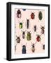 Seamless Texture with Funny Bugs, Painted by Hand of Different Patterns, Bright Colors-eva_mask-Framed Art Print