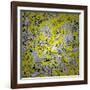 Seamless Texture-Valera197616-Framed Art Print