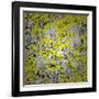 Seamless Texture-Valera197616-Framed Art Print