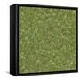 Seamless Tileable Texture of Forest Lawn.-tashatuvango-Framed Stretched Canvas