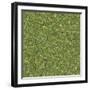Seamless Tileable Texture of Forest Lawn.-tashatuvango-Framed Photographic Print