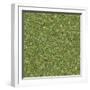 Seamless Tileable Texture of Forest Lawn.-tashatuvango-Framed Photographic Print