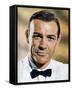 Sean Connery-null-Framed Stretched Canvas