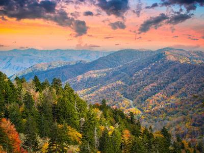 Autumn Morning in the Smoky Mountains National Park