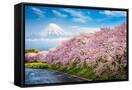 Canvas Black