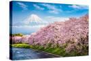 Stretched Canvas