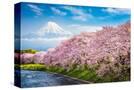 Stretched Canvas