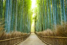Kyoto, Japan Bamboo Forest.-SeanPavonePhoto-Photographic Print