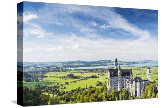 Stretched Canvas Print, , large