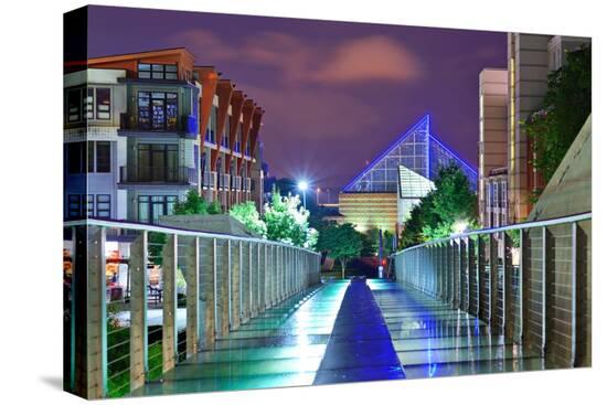 Stretched Canvas Print, , large