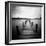 Seapack-Craig Roberts-Framed Photographic Print