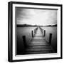 Seapack-Craig Roberts-Framed Photographic Print