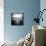 Seapack-Craig Roberts-Framed Stretched Canvas displayed on a wall