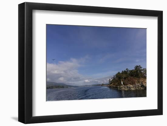 Seaplane departs from harbor in Ganges, British Columbia, Canada-Chuck Haney-Framed Photographic Print