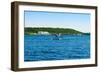 Seaplane in the Sea, Deep Bay, Parry Sound, Ontario, Canada-null-Framed Premium Photographic Print