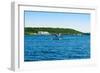 Seaplane in the Sea, Deep Bay, Parry Sound, Ontario, Canada-null-Framed Premium Photographic Print