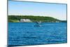 Seaplane in the Sea, Deep Bay, Parry Sound, Ontario, Canada-null-Mounted Premium Photographic Print