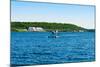 Seaplane in the Sea, Deep Bay, Parry Sound, Ontario, Canada-null-Mounted Photographic Print