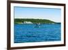 Seaplane in the Sea, Deep Bay, Parry Sound, Ontario, Canada-null-Framed Photographic Print