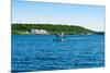 Seaplane in the Sea, Deep Bay, Parry Sound, Ontario, Canada-null-Mounted Photographic Print