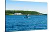 Seaplane in the Sea, Deep Bay, Parry Sound, Ontario, Canada-null-Stretched Canvas