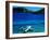 Seaplane in Water Between Yasawa and Sawa-I-Lau Islands, Fiji-Mark Daffey-Framed Photographic Print