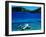 Seaplane in Water Between Yasawa and Sawa-I-Lau Islands, Fiji-Mark Daffey-Framed Photographic Print