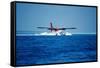 Seaplane Landing-Matthew Oldfield-Framed Stretched Canvas