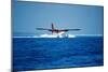Seaplane Landing-Matthew Oldfield-Mounted Photographic Print