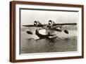 Brown Frame