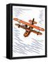 Seaplane-Found Image Press-Framed Stretched Canvas