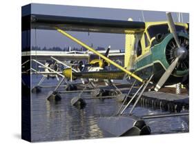 Seaplanes Docked on Lake Washington, Seattle, Washington, USA-Merrill Images-Stretched Canvas