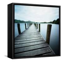 Seapod-Craig Roberts-Framed Stretched Canvas