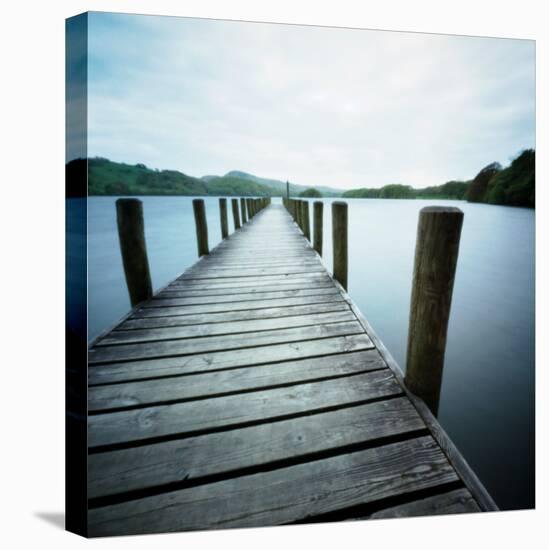 Seapod-Craig Roberts-Stretched Canvas