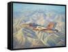 Search and Destroy-John Bradley-Framed Stretched Canvas