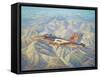 Search and Destroy-John Bradley-Framed Stretched Canvas