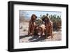 Search and Rescue Bloodhounds in the Sonoran Desert-Zandria Muench Beraldo-Framed Photographic Print