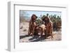 Search and Rescue Bloodhounds in the Sonoran Desert-Zandria Muench Beraldo-Framed Photographic Print