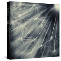 Search for Light-Ursula Abresch-Stretched Canvas
